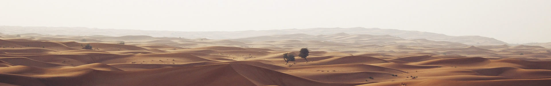 ൺ󹤳̼޹˾
